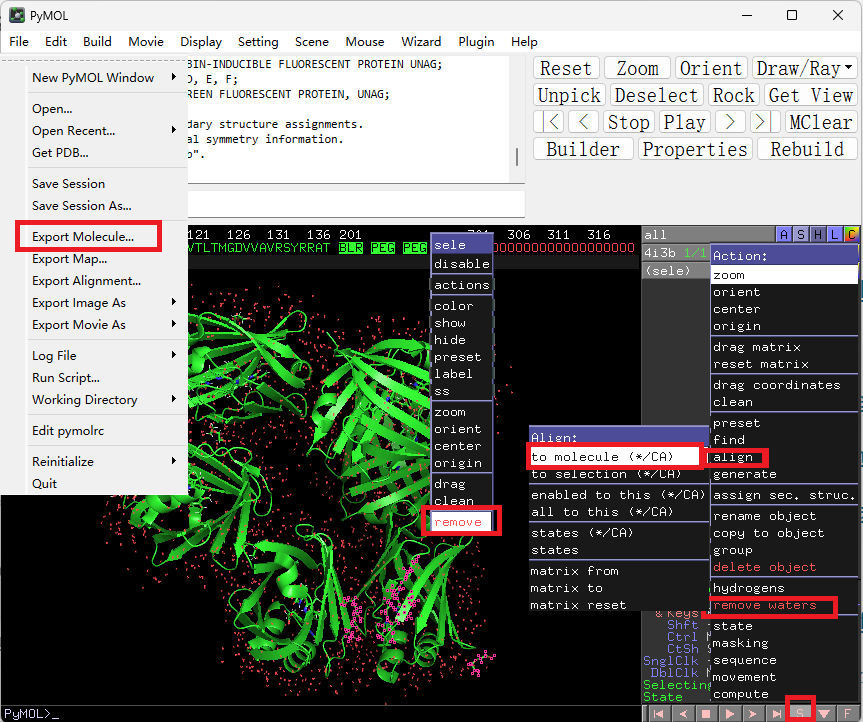 Pymol